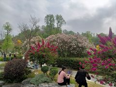 -东莞植物园