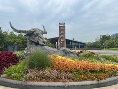 -牛首山文化旅游区