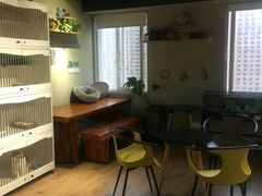 -东方名猫馆·英短金渐层布偶猫舍(环线广场1号楼店)