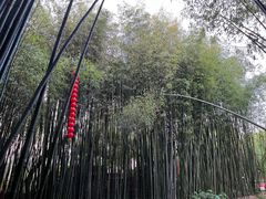 -竹泉村旅游度假区