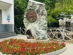-王顺山国家森林公园