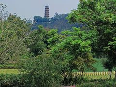 -南沙蒲洲花园
