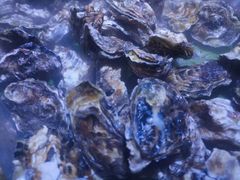 -聚盛源蒸汽海鲜火锅烤肉自助(巨川金海岸购物广场店)