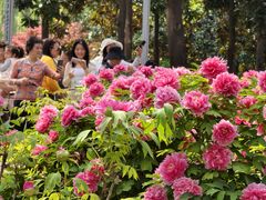 -洛阳市隋唐城遗址植物园