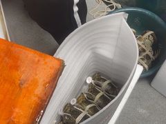 -阳澄湖大闸蟹·琼灵阁牌品牌连锁(吴中总店)
