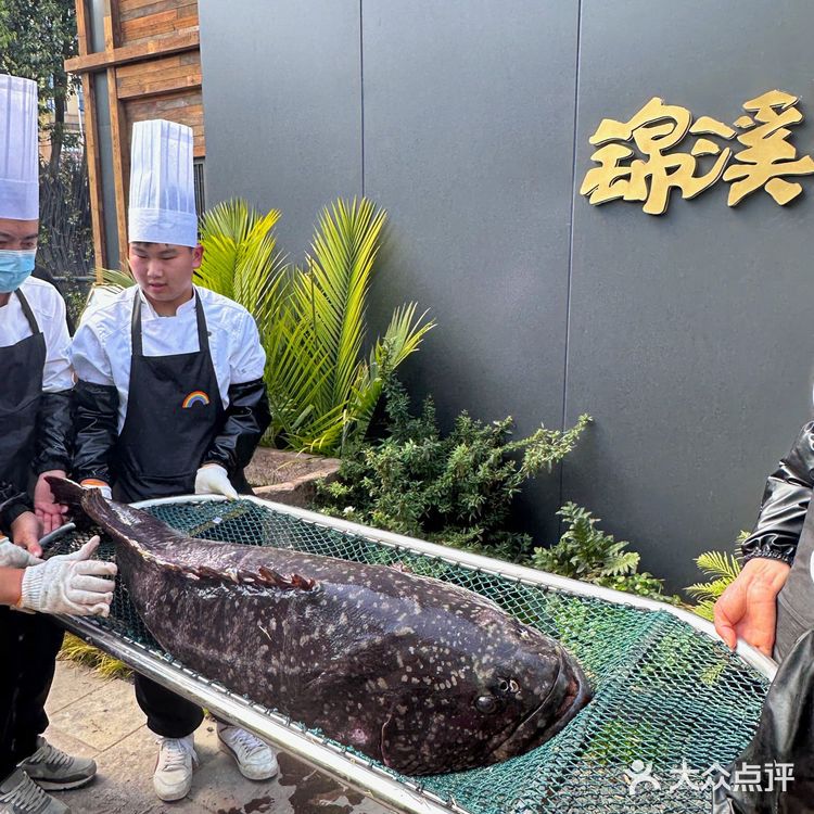 成都吃鱼首选，中式庄园也太适合聚会了！