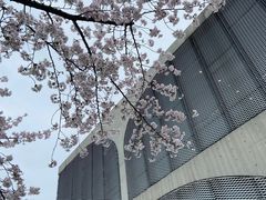 -龙美术馆(西岸馆)
