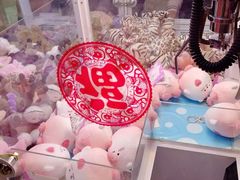 -PAWTOY爪e玩偶店(天兴罗斯福店)