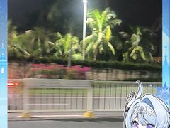 -中澳友谊花园