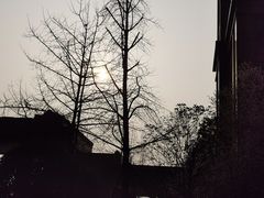 -成都南湖公园