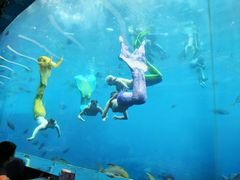 -瑞德姆美人鱼海底演艺主题餐厅(亚龙湾店)