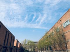 -中国艺术研究院油画院