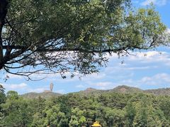 -承德避暑山庄景区