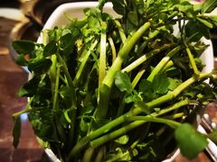 -同仁四季椰子鸡(海岸城天利店)