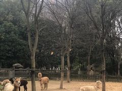 -南昌动物园
