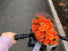 -循礼门鲜花花市(武汉循礼门店)