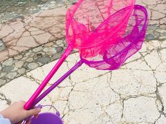 -碓臼峪自然风景区