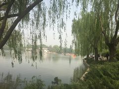 -紫竹院公园冰场