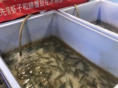 -芭提雅Amporn Seafood自助餐厅