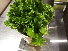 -古乐牛香·鲜牛肉牛杂火锅(新区店)