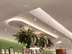 -Aqua Oasis 水天堂(太湖中心mall店)