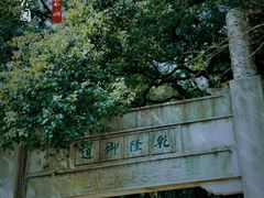 -苏州上方山国家森林公园