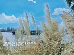 -上海山野camping·户外天幕烧烤·团建拓展营地