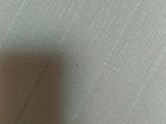 -红星美凯龙(浦江店)
