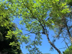 -西岭雪山大飞水景区