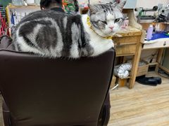 -百金通黄金回收首饰定制维修(珠江路总部)