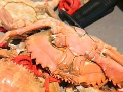 -一方渔歌蒸汽海鲜自助(文化路万达广场店)