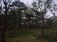 -迎泽公园