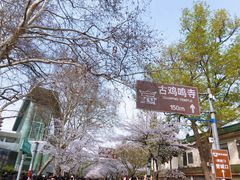 -南京城墙景区