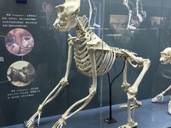 -国家自然博物馆