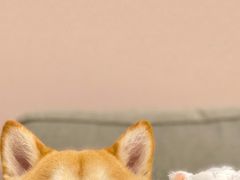 -麦德龙(镇江开发区店)