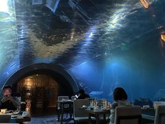 -涛·海底餐厅·美人鱼·自助餐·海底隧道(三亚海棠湾洲际度假酒店)