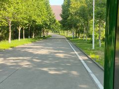 -黄河小浪底水利枢纽风景区
