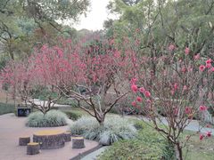 -桃花涧