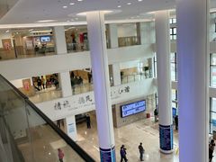 -上海市第四人民医院
