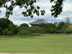 -奈良公园