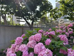 -关你鬼室大型密室逃脱(佛山创意园店)