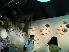 -中国湿地博物馆