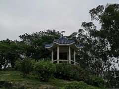 -厦门悦华酒店