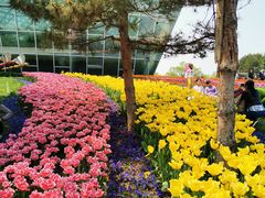 -石家庄市植物园