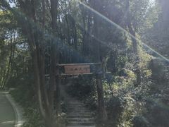 -广州市帽峰山景区