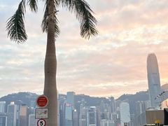 -百老汇(海港城海洋中心店)