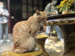 -西园戒幢律寺