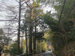 -丹山赤水风景名胜区