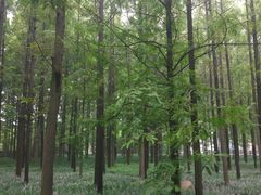 -河南省黄河迎宾馆