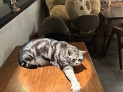 -咖法森林·咖啡  酒吧(天河店)